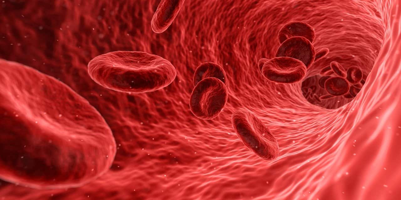 D'Oxyva red blood cell deoxyhemoglobin vasodilator
